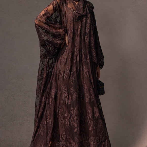Sincere Catharine Sheer Brown Lace Maxi Dress - Picture 2 of 5